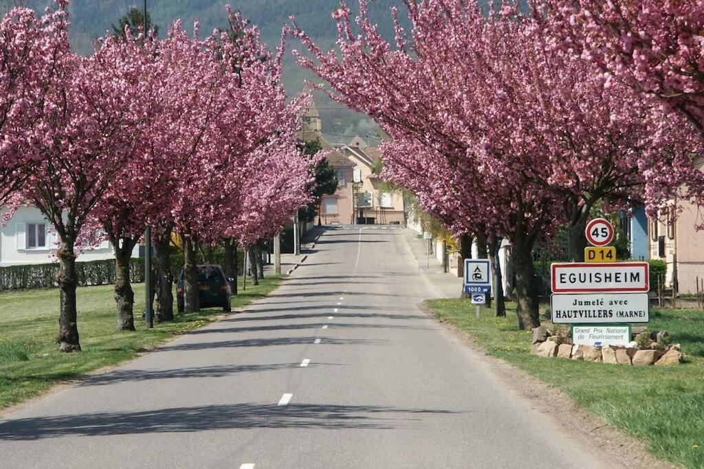 Gite A Eguisheim Proche De Colmar Et Kaysergberg. Exteriér fotografie