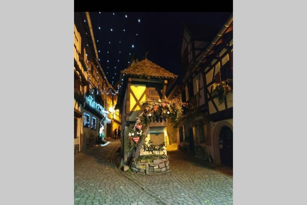 Gite A Eguisheim Proche De Colmar Et Kaysergberg. Exteriér fotografie