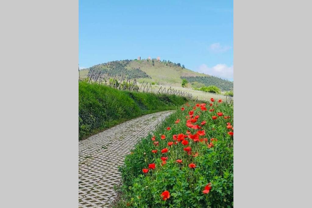 Gite A Eguisheim Proche De Colmar Et Kaysergberg. Exteriér fotografie