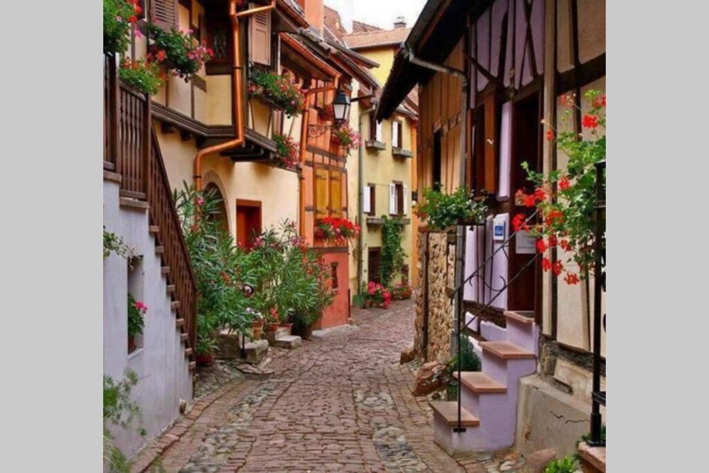 Gite A Eguisheim Proche De Colmar Et Kaysergberg. Exteriér fotografie