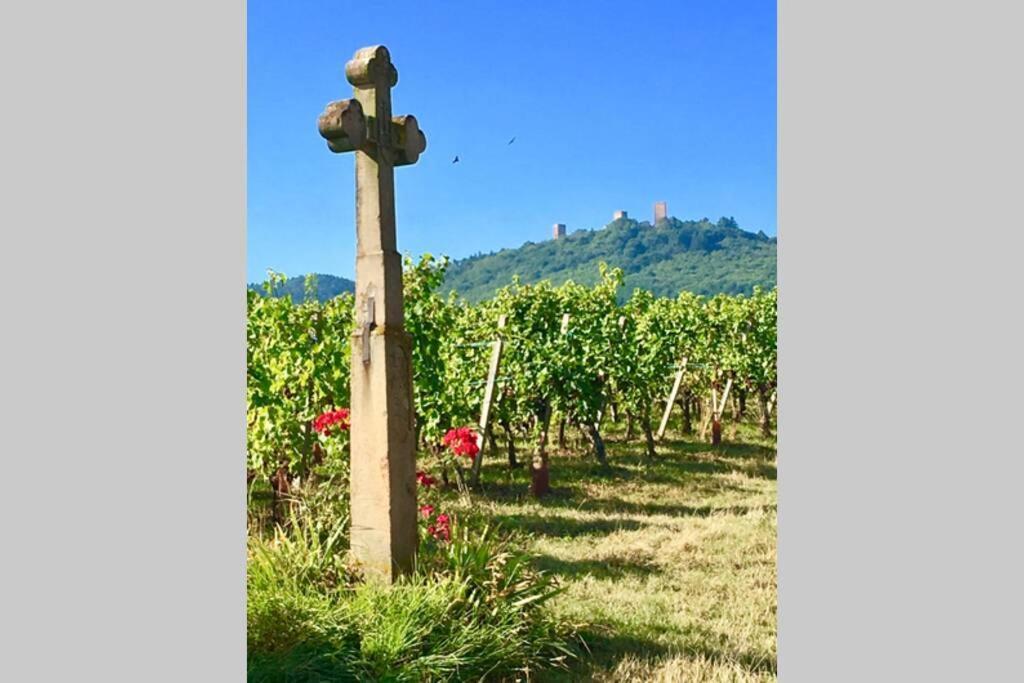 Gite A Eguisheim Proche De Colmar Et Kaysergberg. Exteriér fotografie