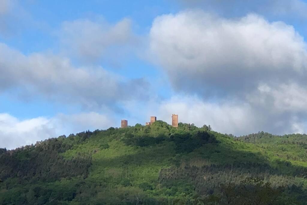 Gite A Eguisheim Proche De Colmar Et Kaysergberg. Exteriér fotografie
