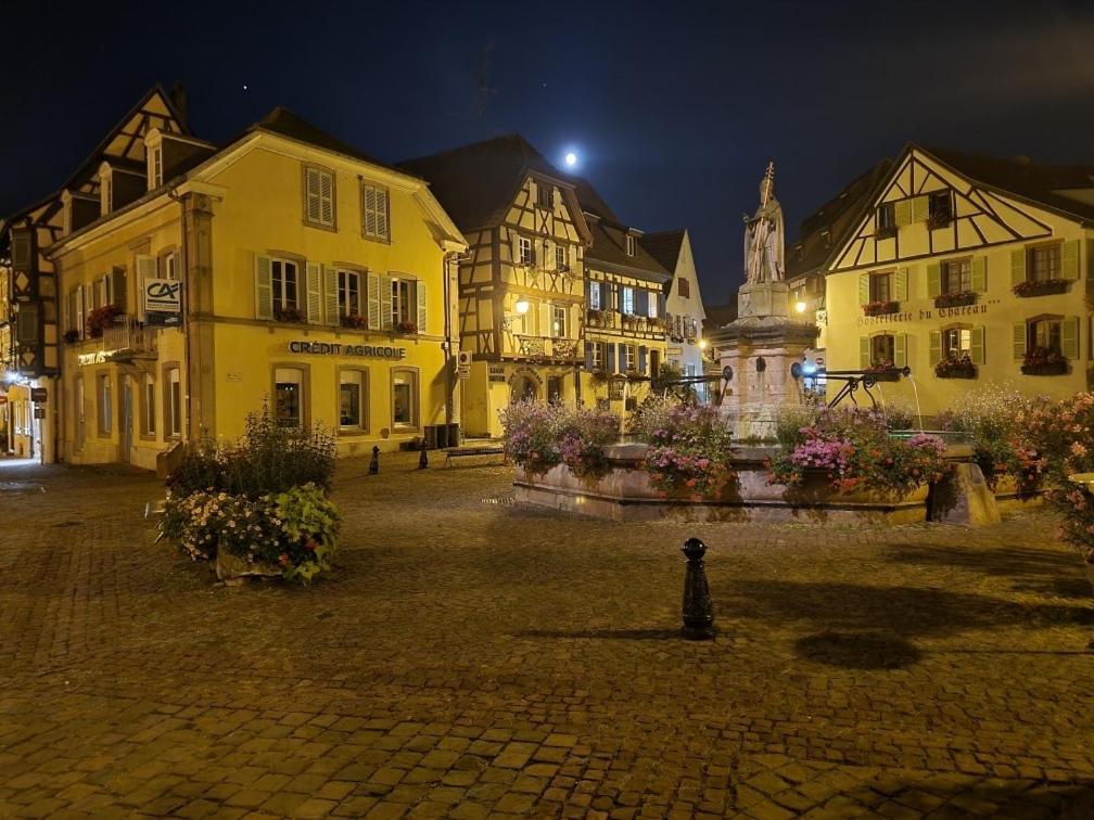 Gite A Eguisheim Proche De Colmar Et Kaysergberg. Exteriér fotografie